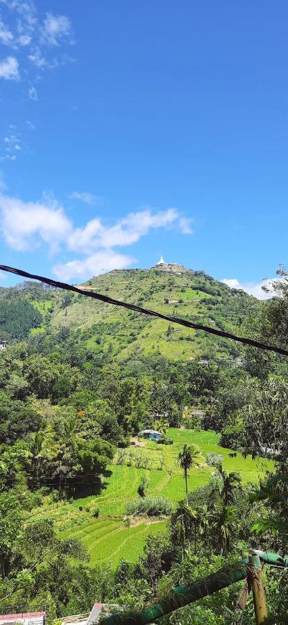 Green Leaf Resort Ella Bagian luar foto